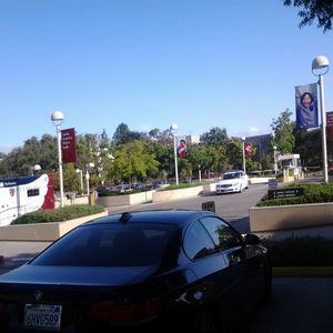 Meet your Posher, Rodolfo